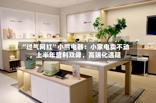 “过气网红”小熊电器：小家电卖不动，上半年营利双降，高端化遇阻