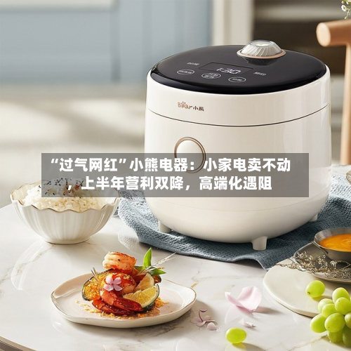 “过气网红”小熊电器：小家电卖不动，上半年营利双降	，高端化遇阻-第3张图片