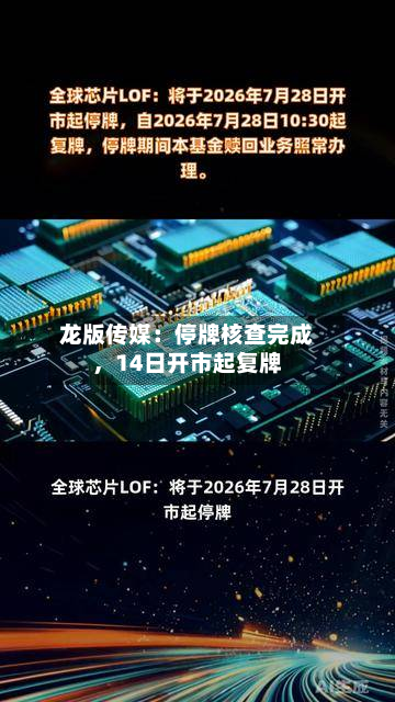 龙版传媒：停牌核查完成，14日开市起复牌-第3张图片