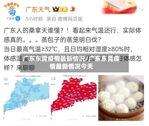 广东东莞疫情最新情况/广东东莞疫情最新情况今天