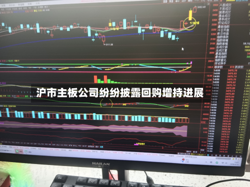 沪市主板公司纷纷披露回购增持进展