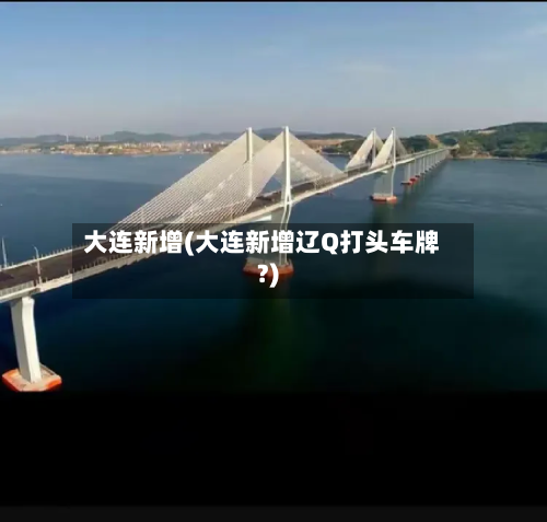 大连新增(大连新增辽Q打头车牌?)