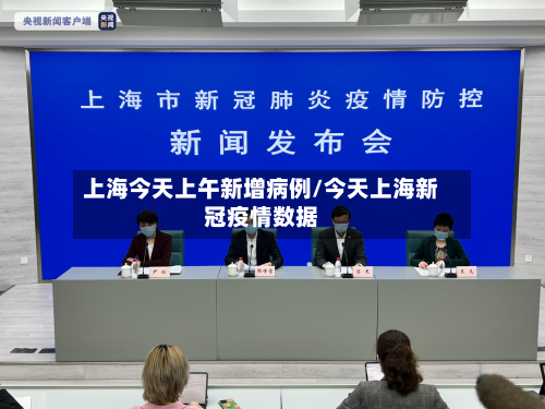 上海今天上午新增病例/今天上海新冠疫情数据-第3张图片