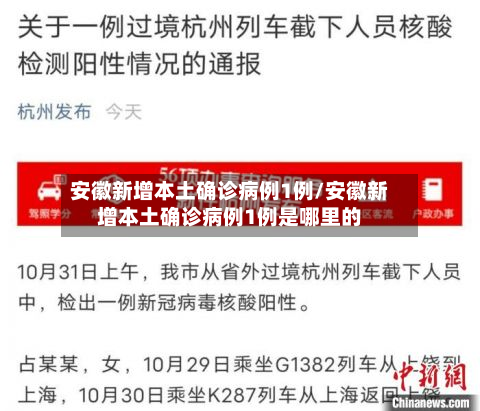 安徽新增本土确诊病例1例/安徽新增本土确诊病例1例是哪里的-第3张图片