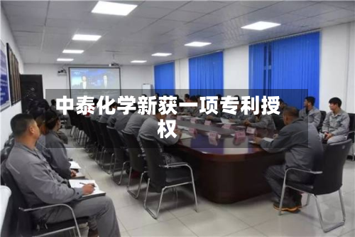 中泰化学新获一项专利授权-第2张图片