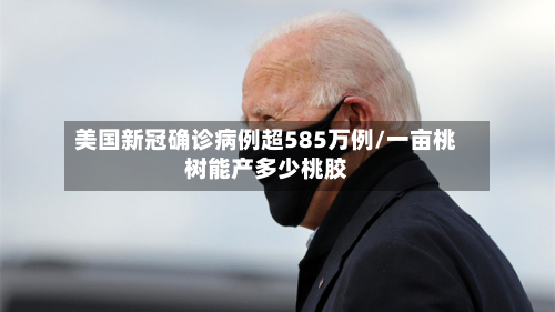 美国新冠确诊病例超585万例/一亩桃树能产多少桃胶-第2张图片