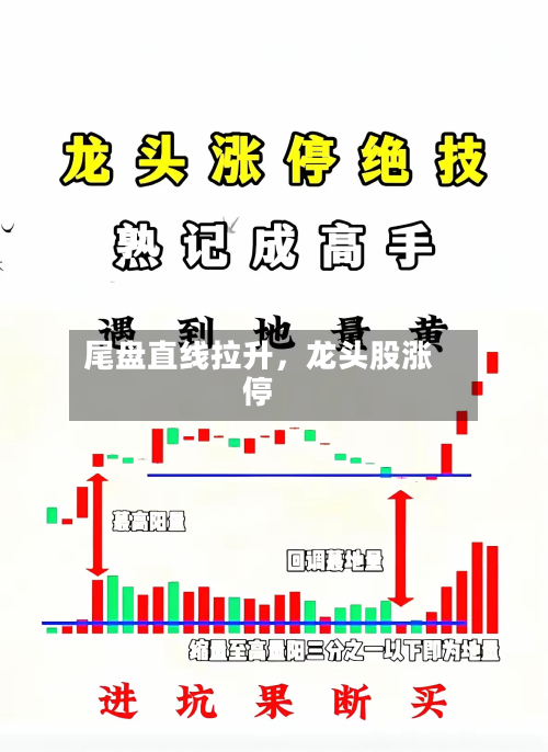尾盘直线拉升，龙头股涨停-第2张图片