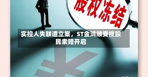 实控人失联遭立案，ST金鸿顺受损股民索赔开启-第2张图片