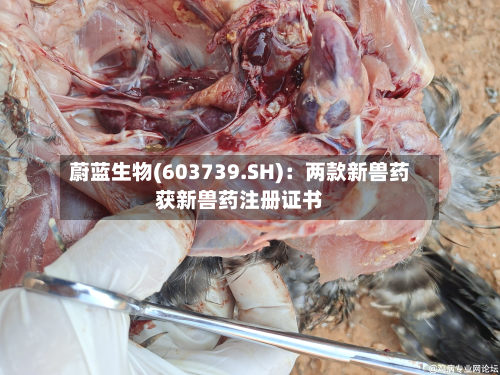 蔚蓝生物(603739.SH)：两款新兽药获新兽药注册证书-第2张图片