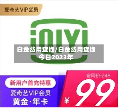 白金费用查询/白金费用查询今日2023年-第2张图片