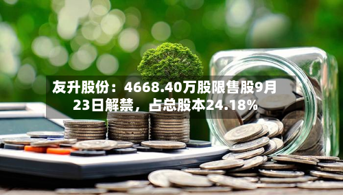友升股份：4668.40万股限售股9月23日解禁，占总股本24.18%-第3张图片