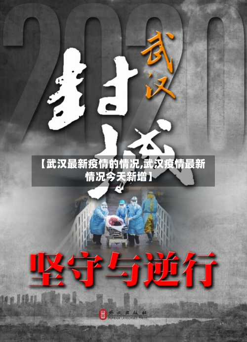 【武汉最新疫情的情况,武汉疫情最新情况今天新增】-第2张图片