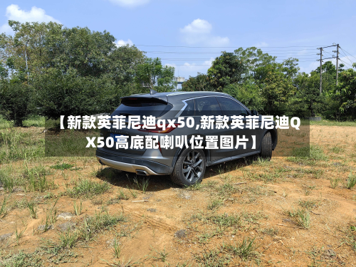 【新款英菲尼迪qx50,新款英菲尼迪QX50高底配喇叭位置图片】-第2张图片