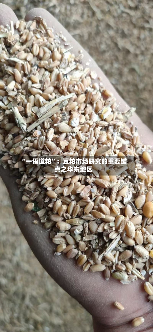“一语道粕”：豆粕市场研究的重要锚点之华东地区-第2张图片