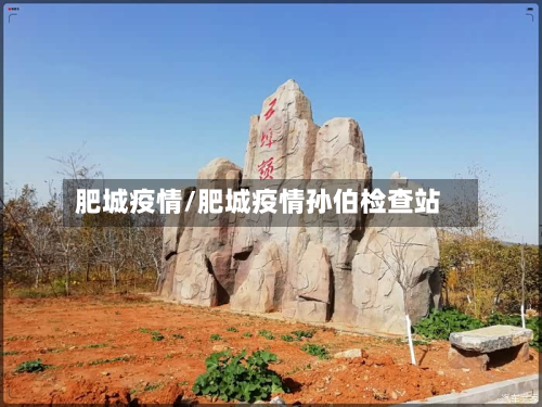 肥城疫情/肥城疫情孙伯检查站-第2张图片