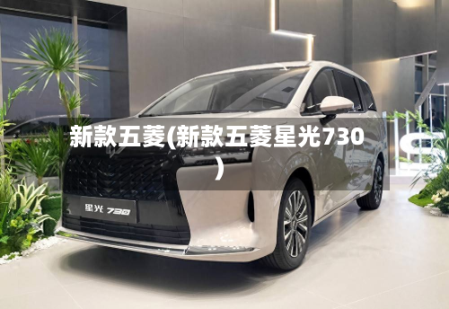 新款五菱(新款五菱星光730)-第3张图片
