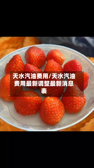 天水汽油费用/天水汽油费用最新调整最新消息表