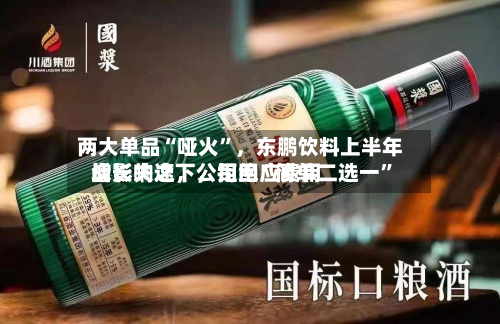 两大单品“哑火”	，东鹏饮料上半年增长失速，公司回应费用战影响之下，拒绝“简单二选一”-第3张图片