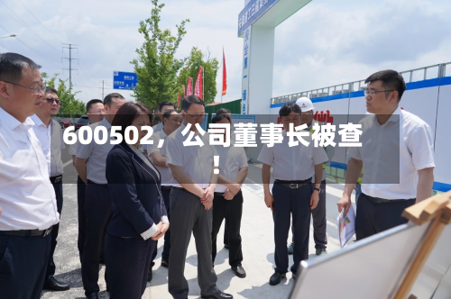 600502，公司董事长被查！-第2张图片