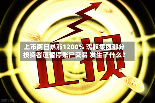 上市两日暴涨1200% 沈鼓集团部分投资者遭暂停账户交易 发生了什么?