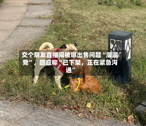 交个朋友直播间被曝出售问题“溜溜凳”，回应称“已下架，正在紧急沟通”-第2张图片