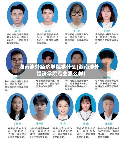 湖南涉外经济学院学什么(湖南涉外经济学院专业怎么样)