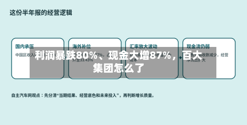 利润暴跌80%、现金大增87%，百大集团怎么了-第3张图片