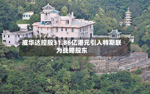威华达控股31.86亿港元引入特斯联为战略股东