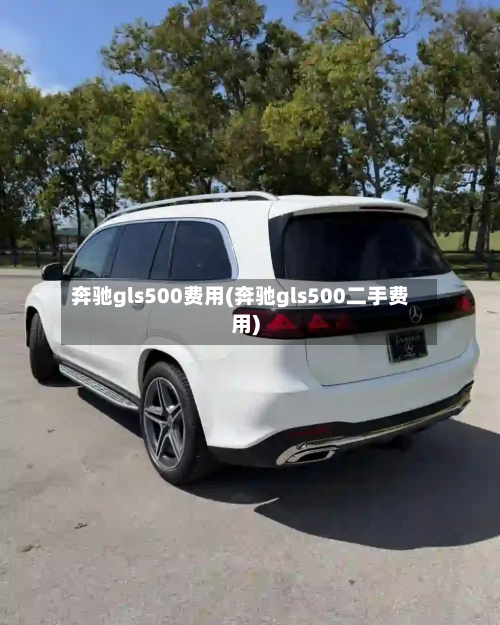 奔驰gls500费用(奔驰gls500二手费用)-第3张图片