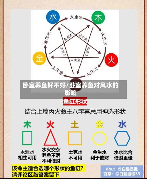 卧室养鱼好不好/卧室养鱼对风水的影响-第2张图片