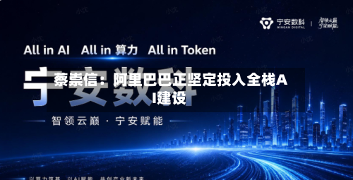 蔡崇信:阿里巴巴正坚定投入全栈AI建设-第2张图片