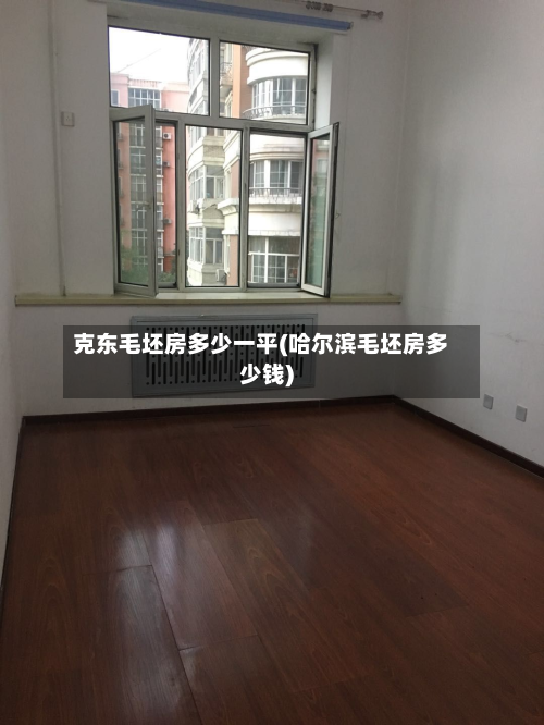 克东毛坯房多少一平(哈尔滨毛坯房多少钱)