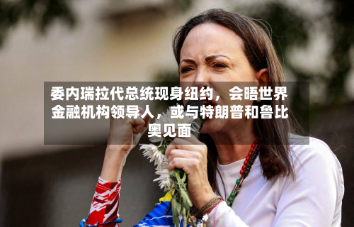 委内瑞拉代总统现身纽约，会晤世界金融机构领导人，或与特朗普和鲁比奥见面