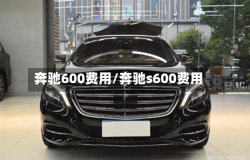 奔驰600费用/奔驰s600费用-第2张图片