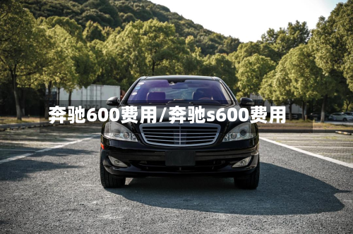 奔驰600费用/奔驰s600费用