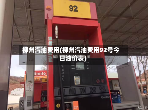 柳州汽油费用(柳州汽油费用92号今日油价表)