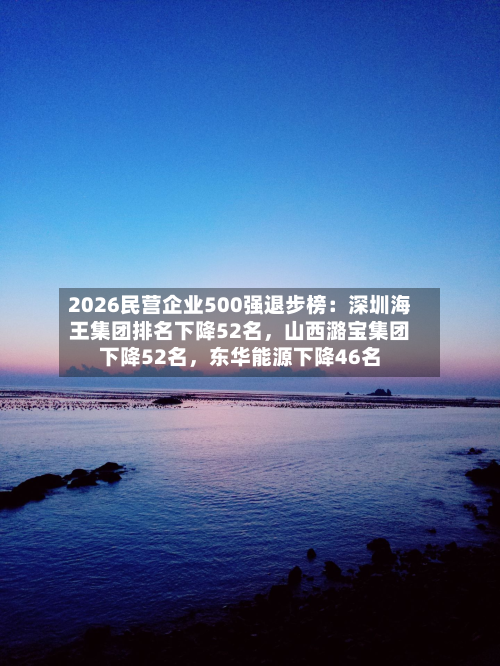 2026民营企业500强退步榜：深圳海王集团排名下降52名	，山西潞宝集团下降52名，东华能源下降46名-第2张图片