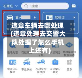违章车辆去哪处理(违章处理去交警大队处理了怎么手机上还有)