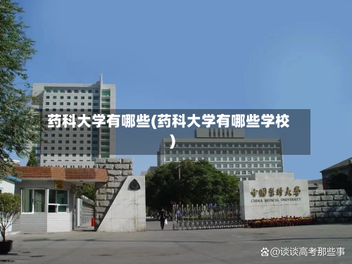 药科大学有哪些(药科大学有哪些学校)-第3张图片