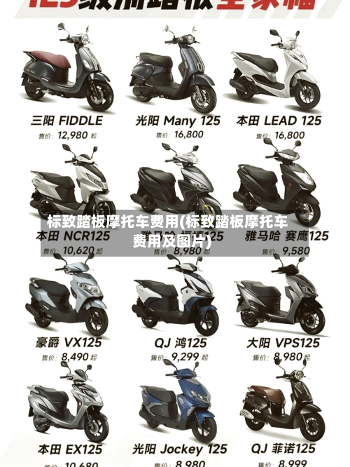 标致踏板摩托车费用(标致踏板摩托车费用及图片)-第3张图片