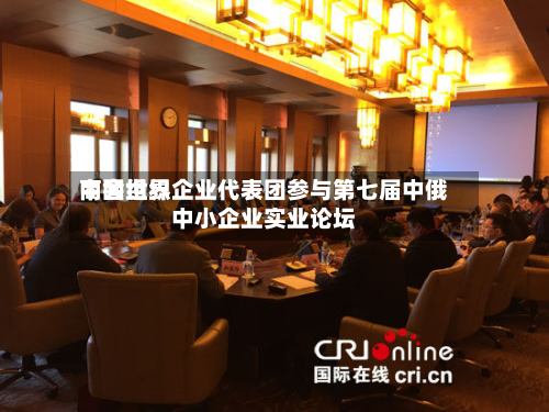 中国世界商会组织企业代表团参与第七届中俄中小企业实业论坛