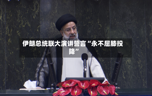 伊朗总统联大演讲誓言“永不屈膝投降”-第2张图片