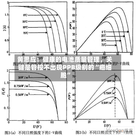 黄思应：健康的电池质量管理，关键是管控不出现PPB级别的“癌细胞”-第3张图片
