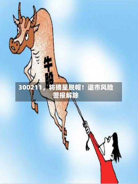 300211	，将摘星脱帽！退市风险警报解除-第2张图片
