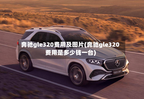 奔驰gle320费用及图片(奔驰gle320费用是多少钱一台)