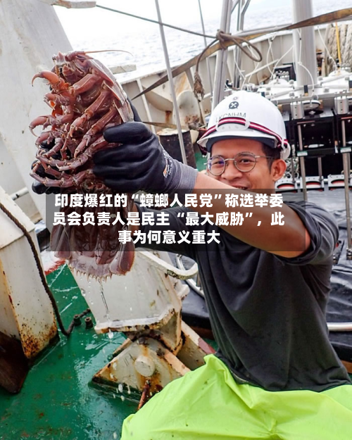 印度爆红的“蟑螂人民党”称选举委员会负责人是民主 “最大威胁”，此事为何意义重大