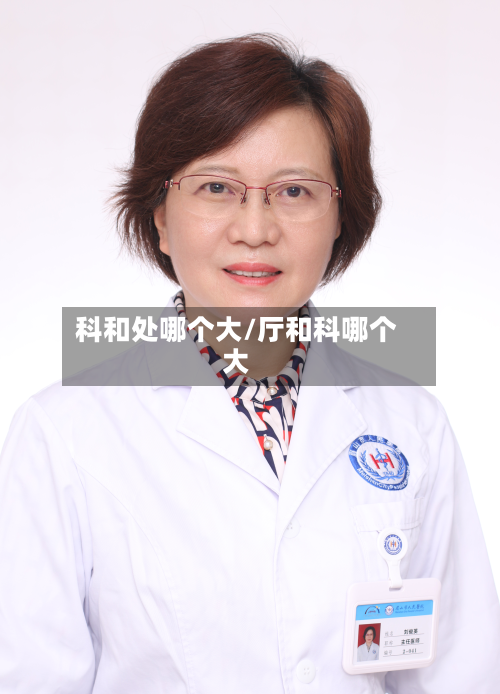 科和处哪个大/厅和科哪个大