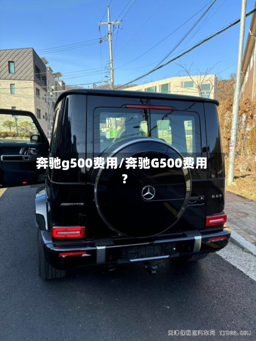 奔驰g500费用/奔驰G500费用?-第3张图片