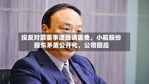 投反对票董事遭提请罢免，小崧股份股东矛盾公开化，公司回应-第2张图片