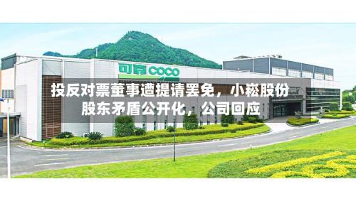 投反对票董事遭提请罢免	，小崧股份股东矛盾公开化，公司回应-第1张图片